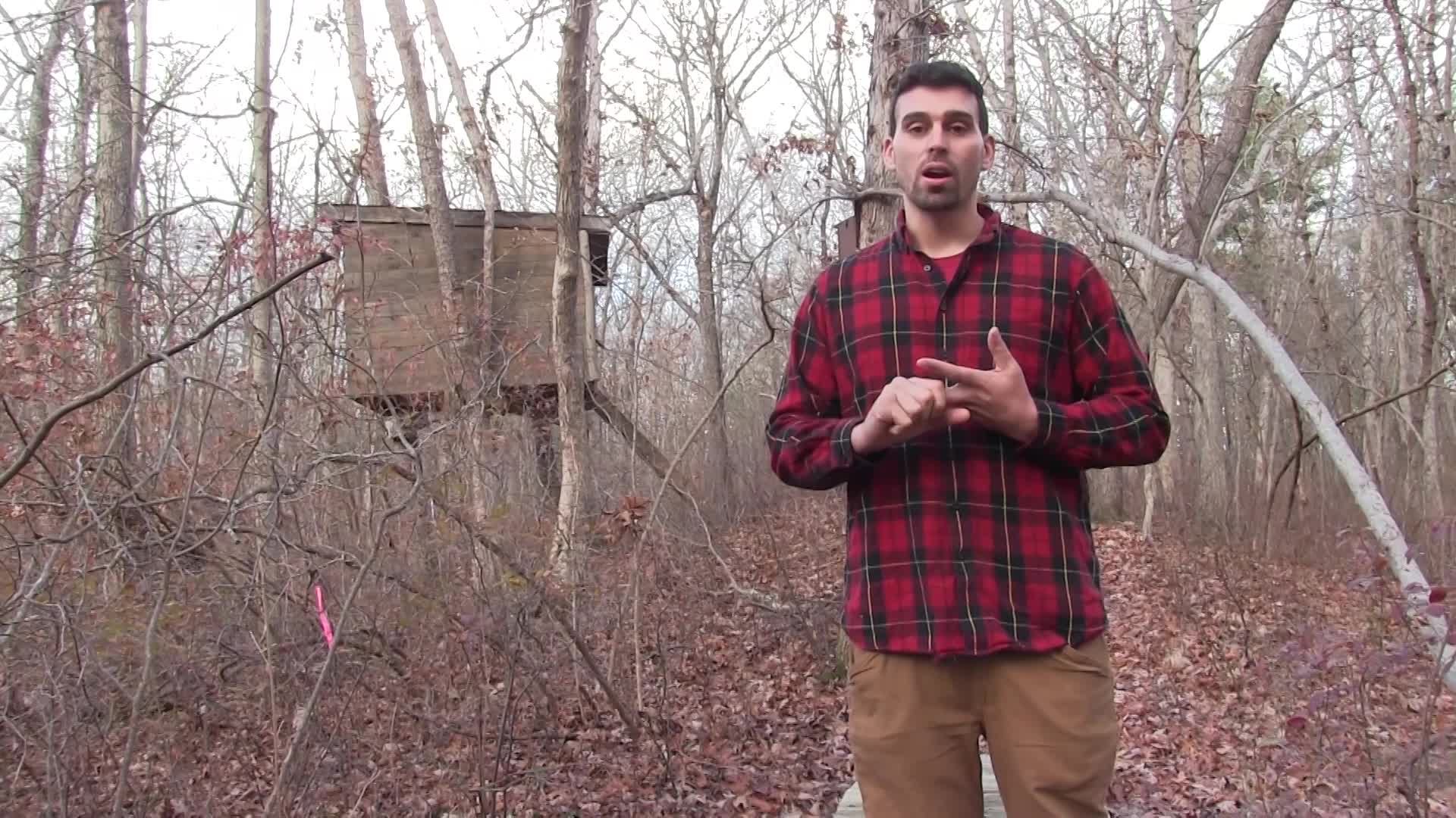 New England Wildlife