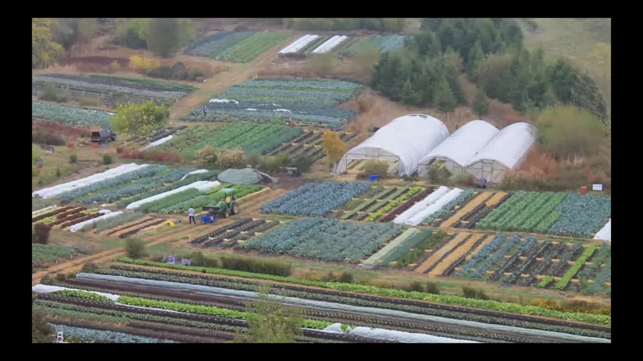 Thumbnail image for Links Between Farms, Food and Wellbeing
