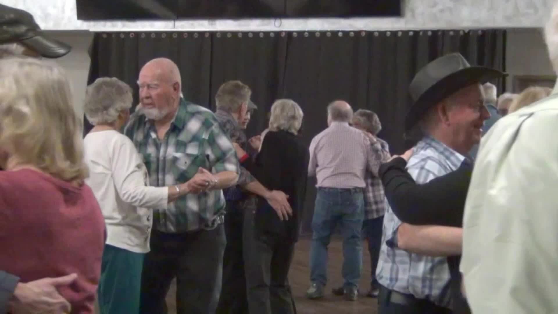 Lights Camera Polka