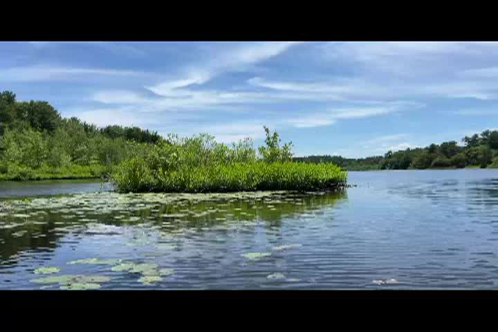 Kayaking in Massachusetts: Island Creek Pond, Duxbury