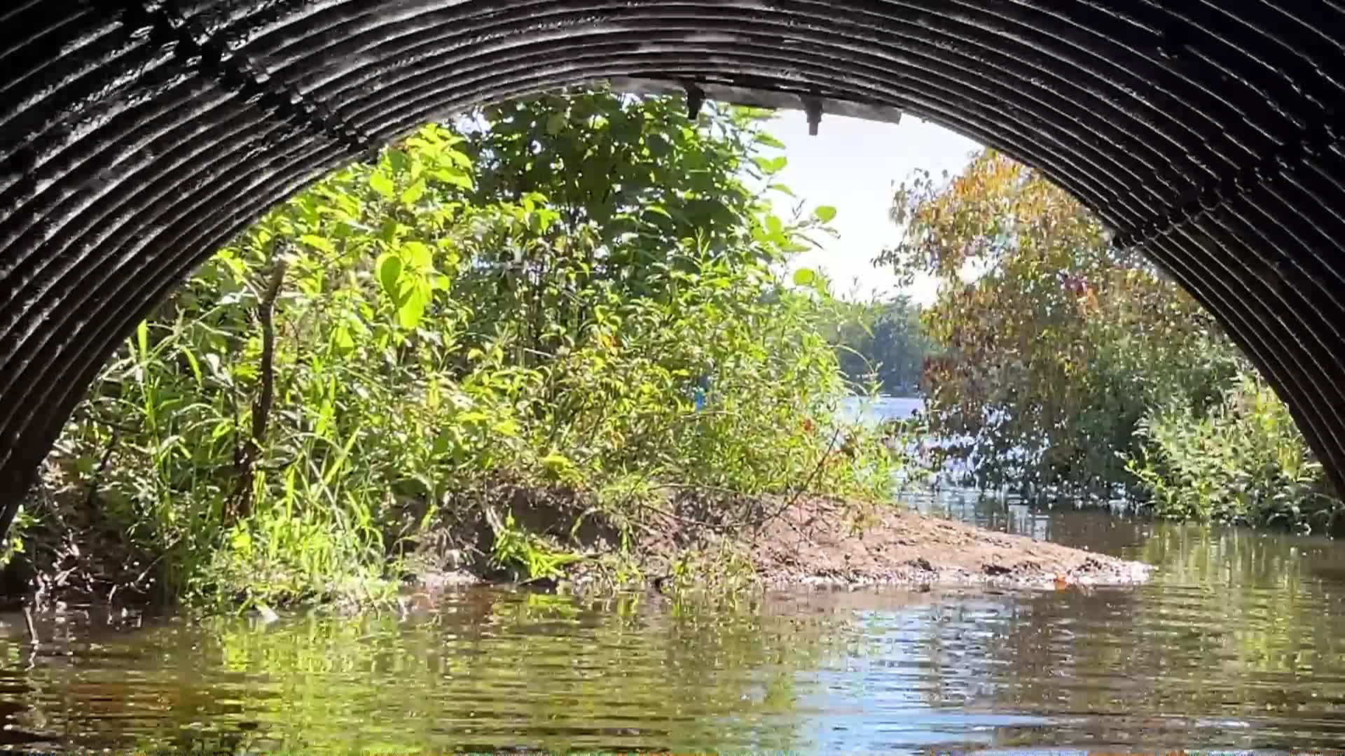 Kayaking in Massachusetts: Robbins Pond, East Bridgewater