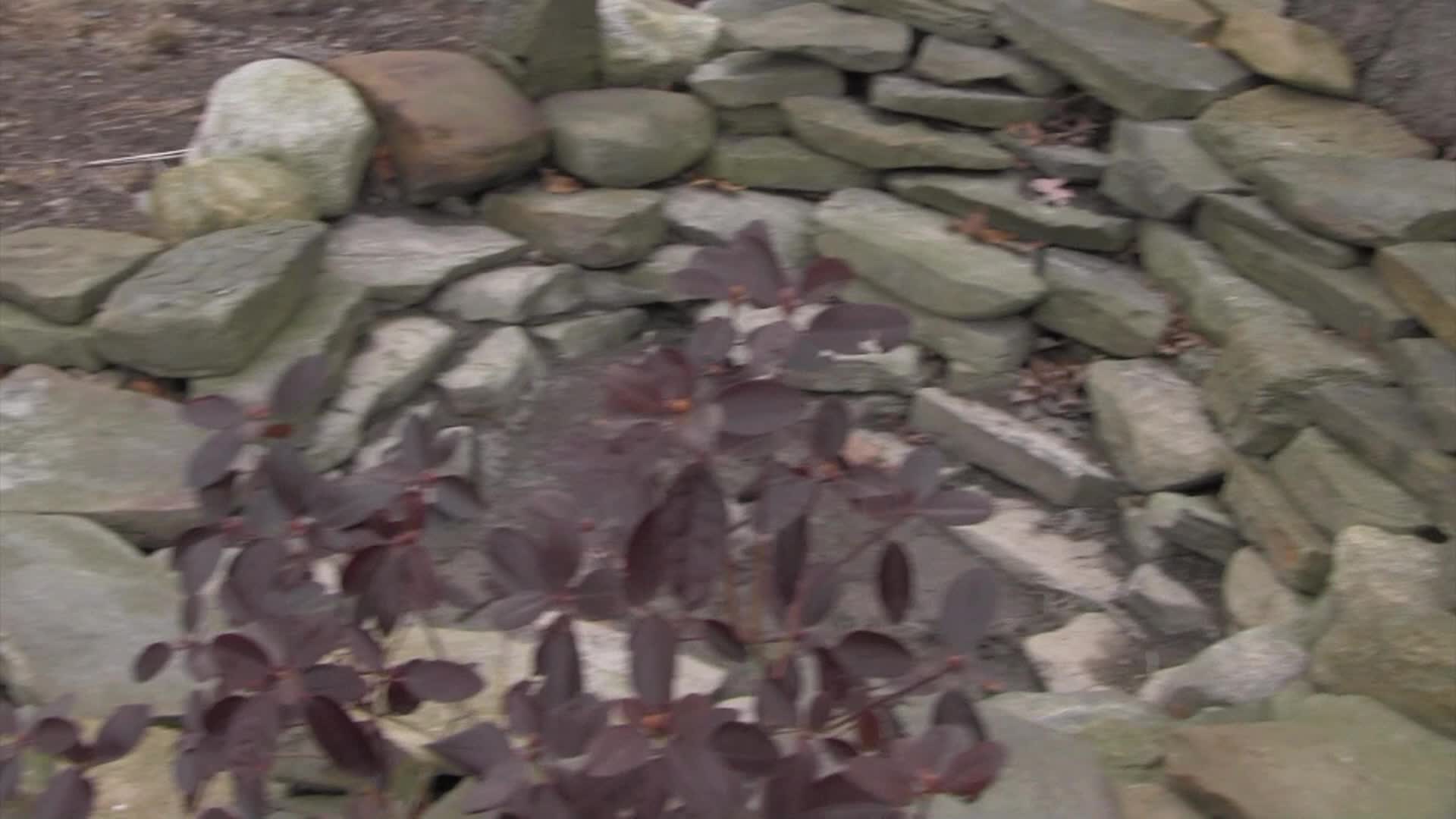 Around the Garden with Jimmy K