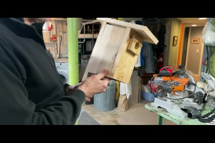 How to Build and Install a Bluebird Nest Box
