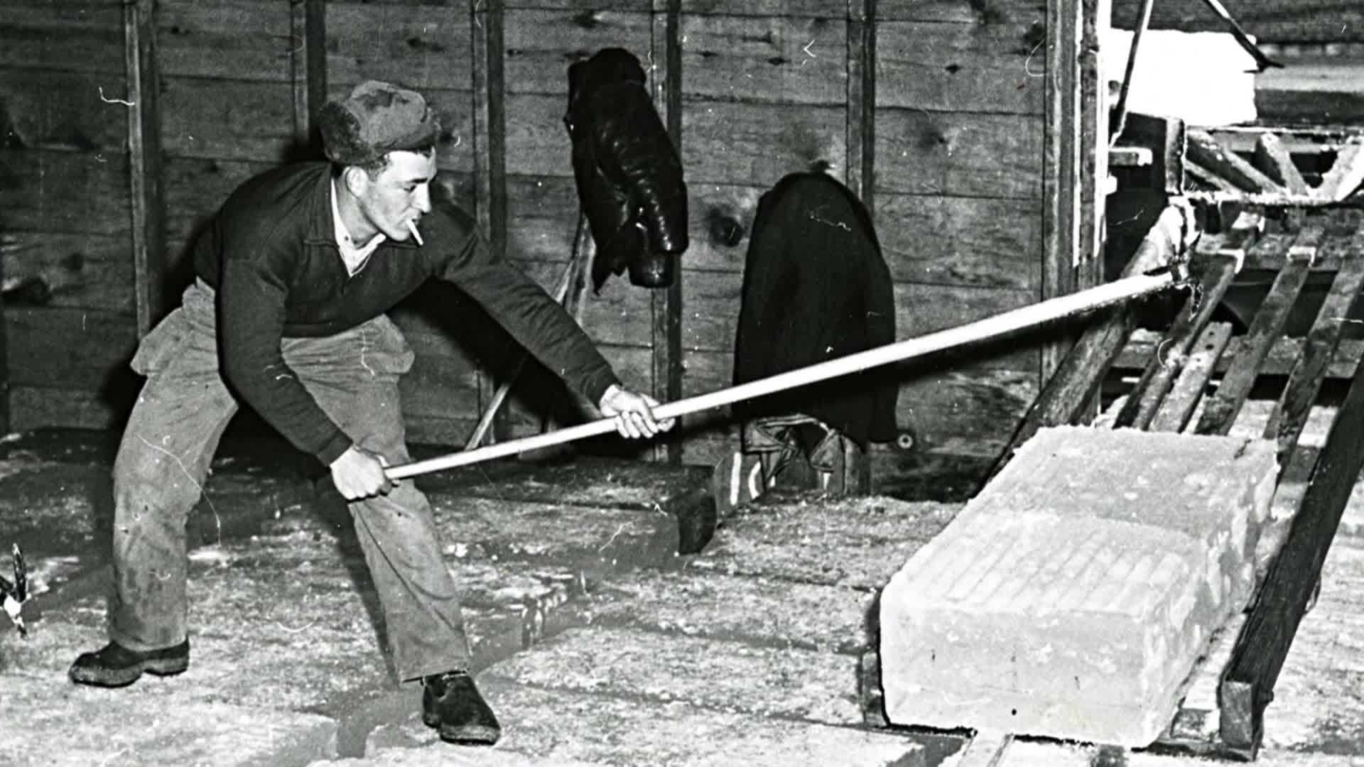 Family Historian: Finding Your Iceman Ancestor