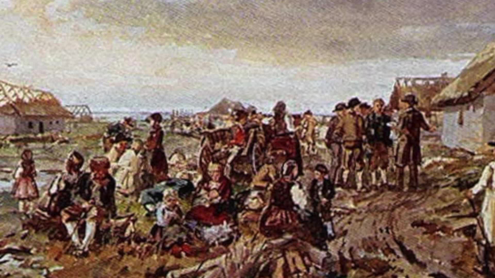 Family Historian: Danube Swabian Genealogy