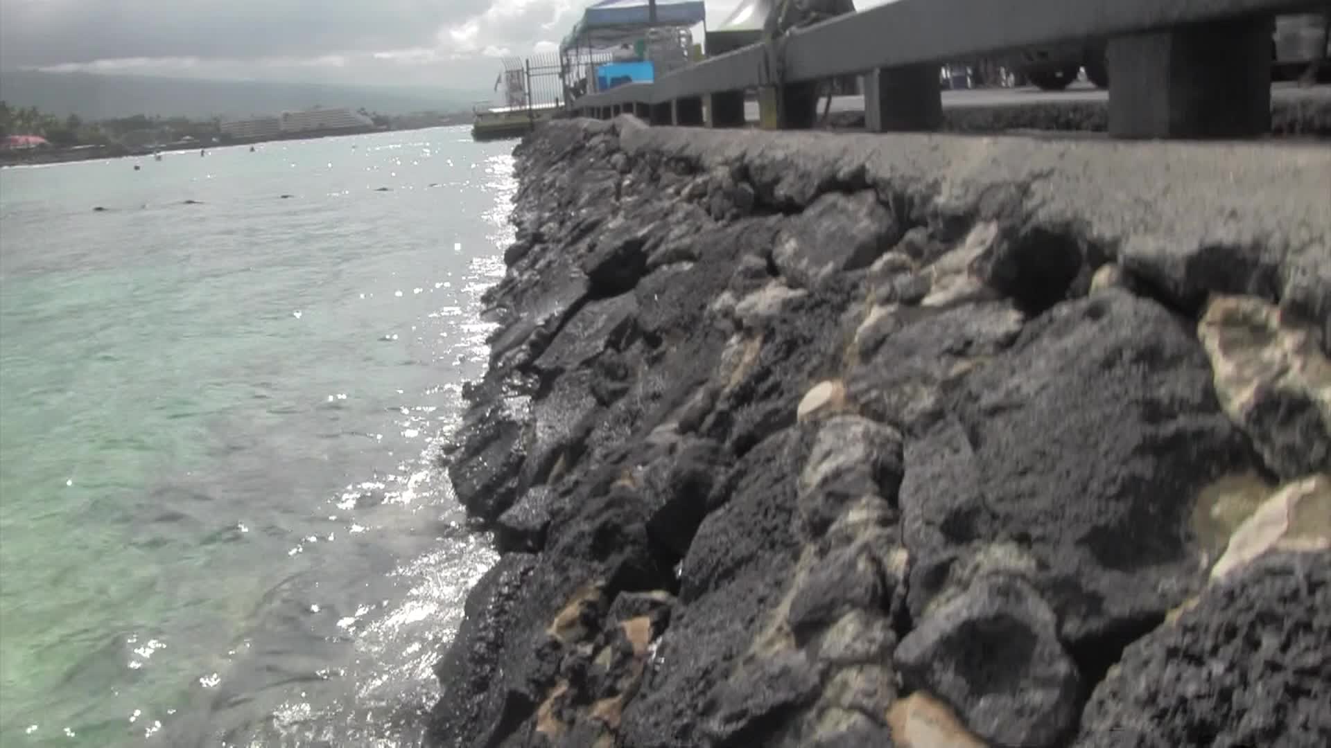 Around the Garden with Jimmy K