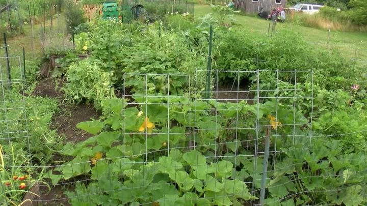 Thumbnail image for What's Cooking in Town