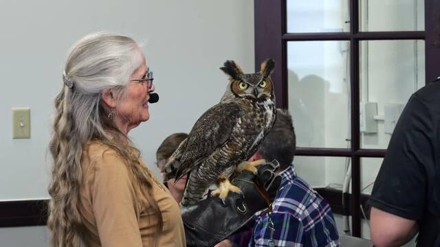 Thumbnail image for 	Eyes on Owls