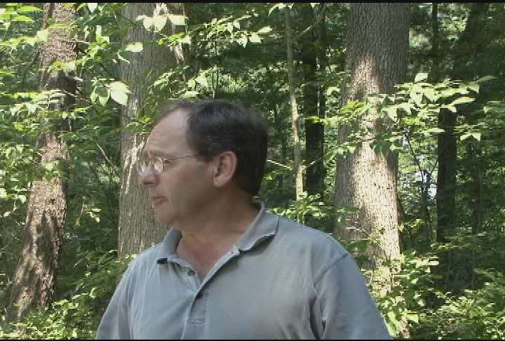 Thumbnail image for Salem Town Forest: Conservation Workshop