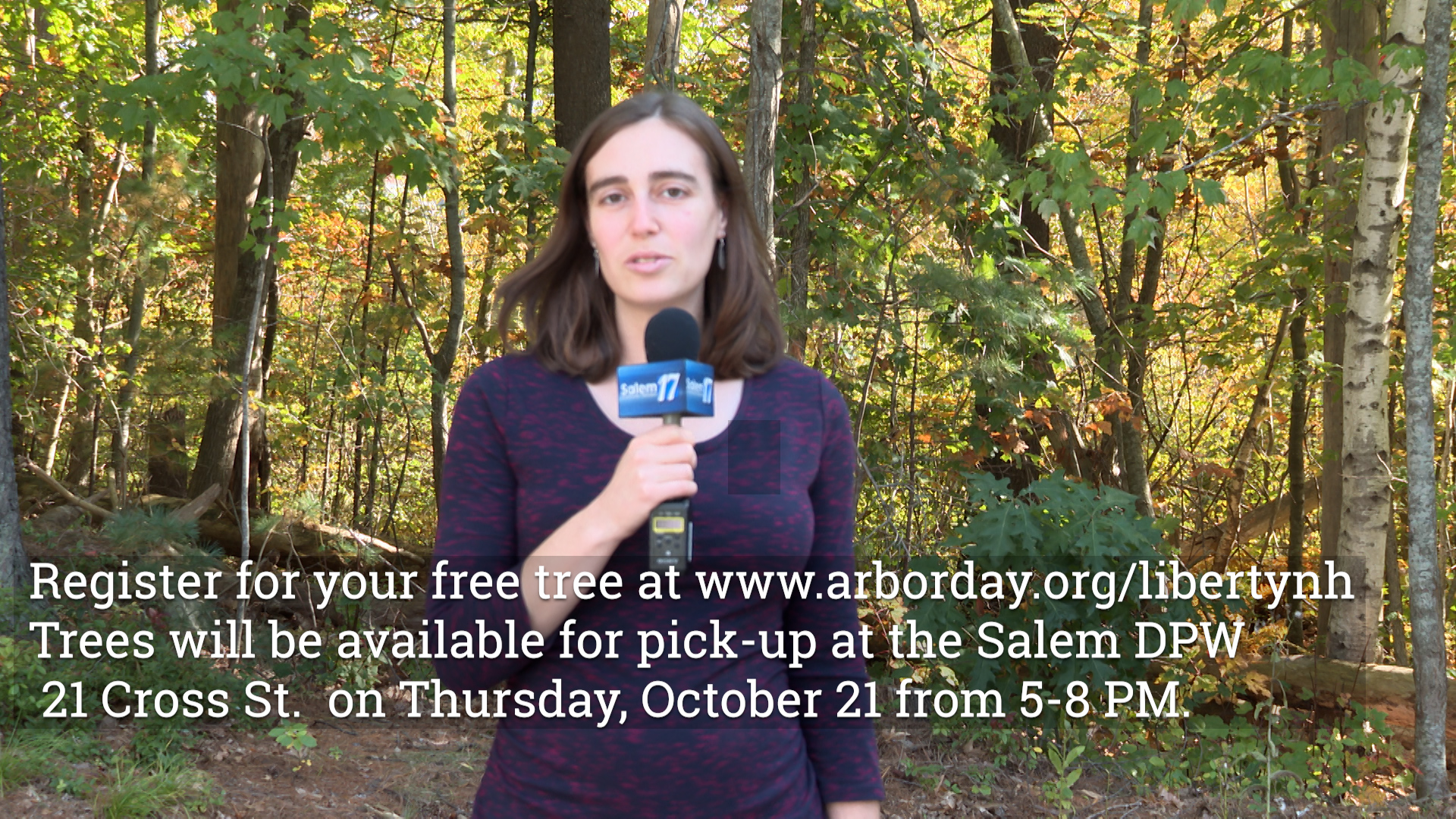 Free Tree Program with Karri Makinen