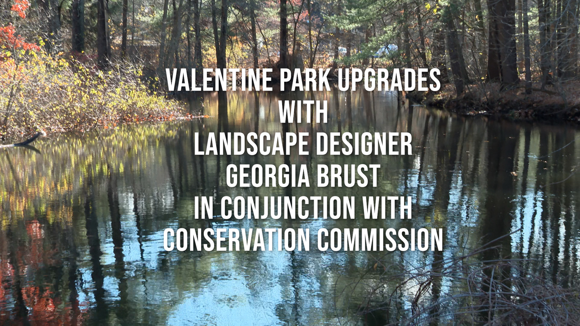 Valentine Park Upgrades with Landscape Designer Georgia Brust